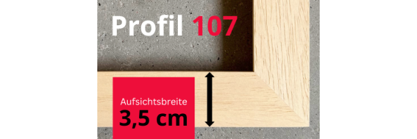 Profil 107 (3,5 cm Aufsicht)