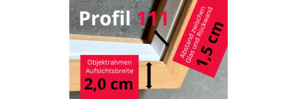 Profil 111 Objektrahmen (2 cm Aufsicht)